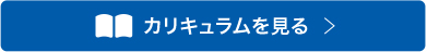 カリキュラムを見る