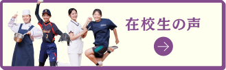 在校生の声